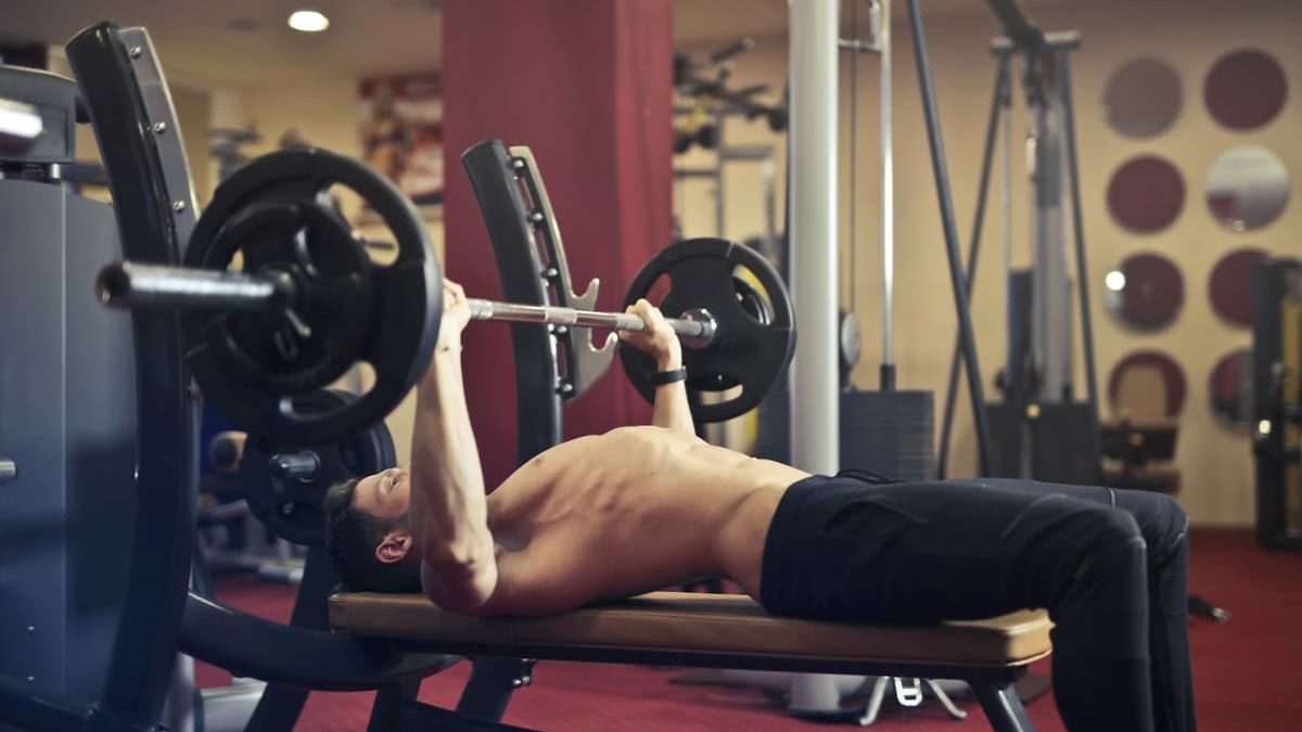 Best Chest workouts For Building Muscles