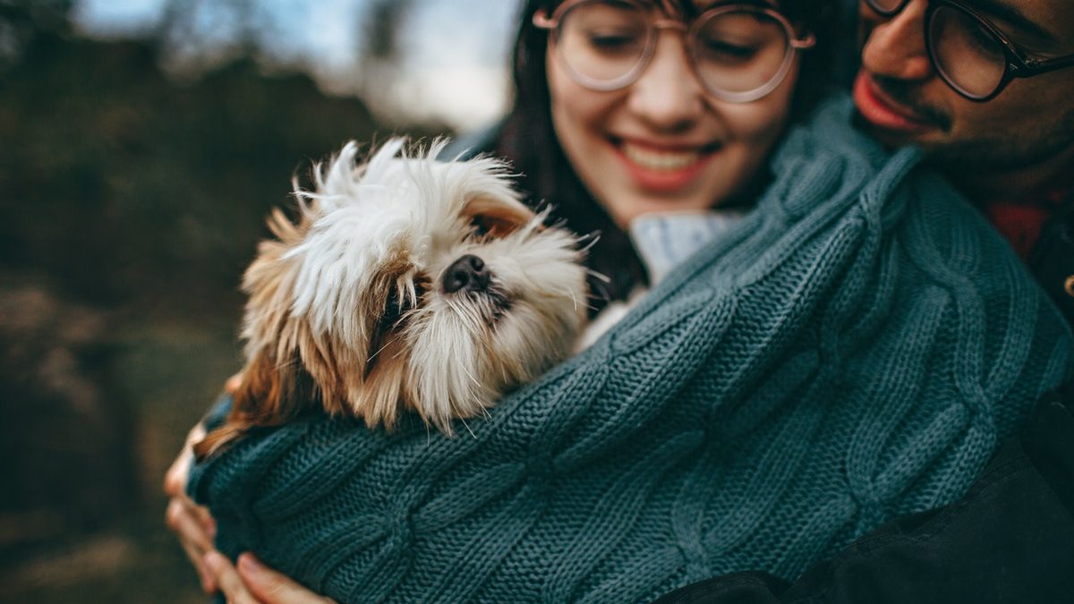 Boost Life Quality with the Right Gravity Blanket