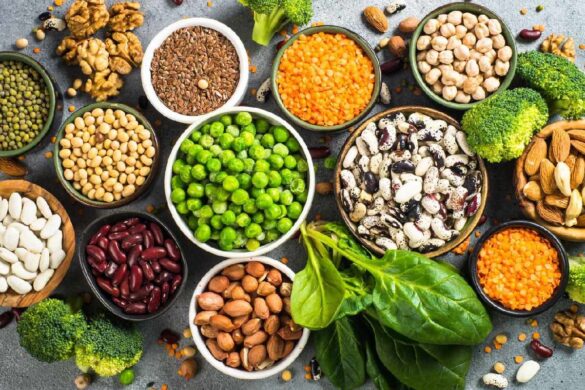 top 10 vegan protein sources for a plant powered diet