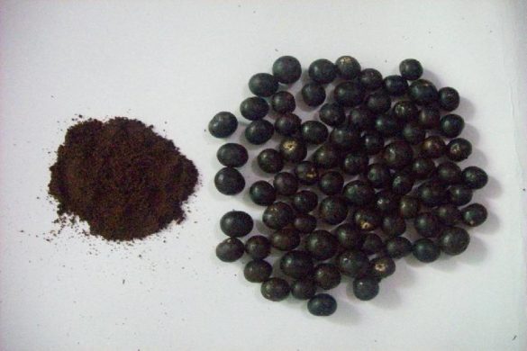 Why Acai Berry Powder Is the Best Way of Ingesting the Fruit