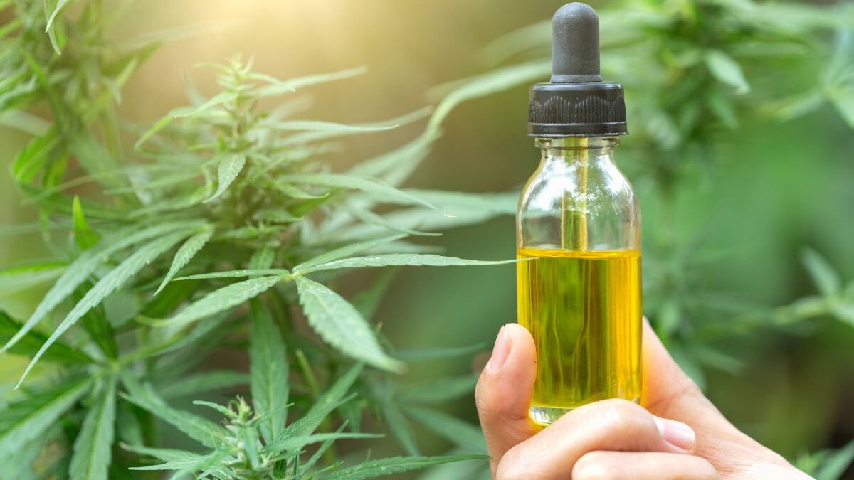Why CBD is Your Springboard into Natural Health and Wellness