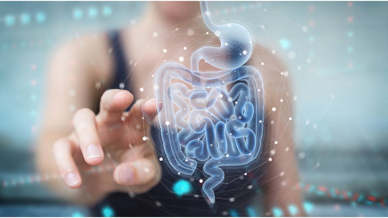 Woman using digital x-ray of human intestine holographic scan projection 3D rendering